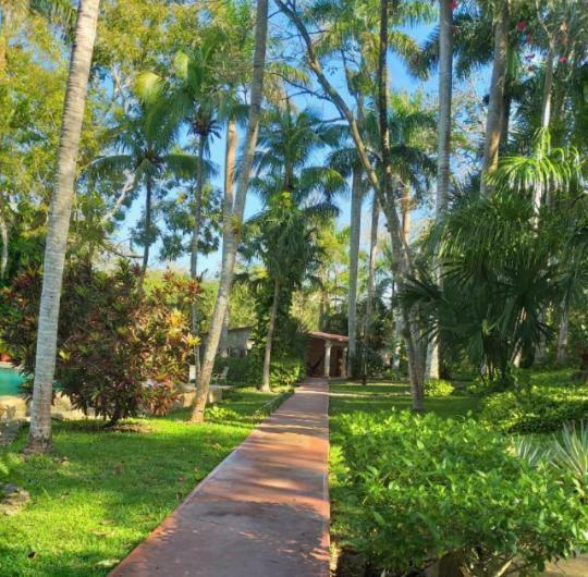 Hacienda Chichen Resort And Yaxkin Spa Exteriör bild